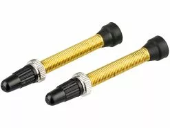 Wtb TCS Messing Presta Tubelessventil