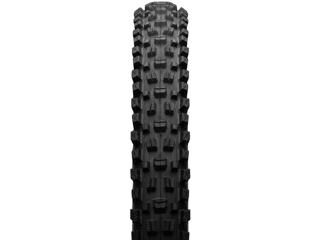 MAXXIS Assegai Dual EXO WT TR 29" Faltreifen 6 MAXXIS Assegai Dual EXO WT TR 29" Faltreifen – Bild 4