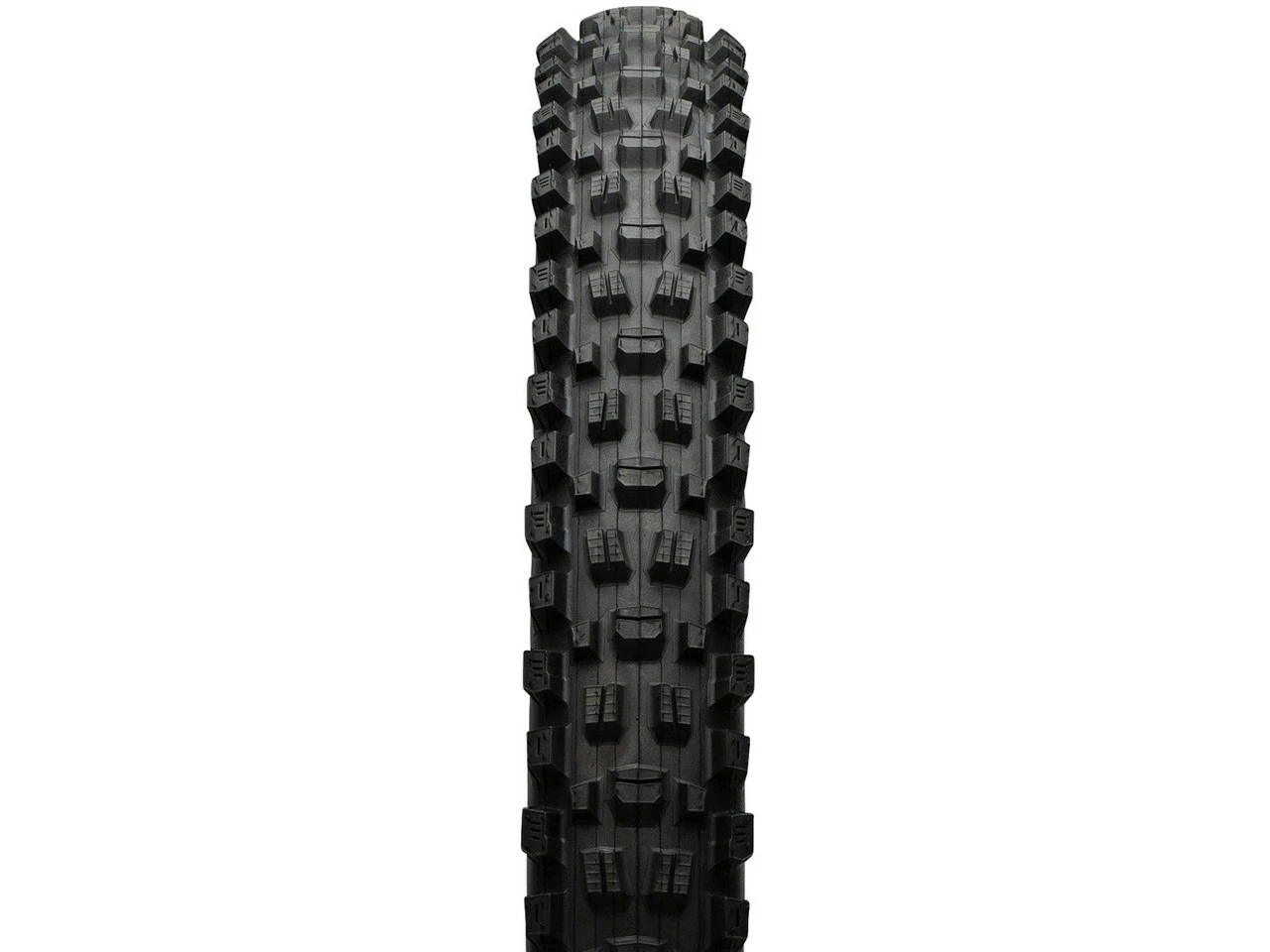 MAXXIS Assegai 3C MaxxTerra EXO WT TR 27,5" Faltreifen 6 MAXXIS Assegai 3C MaxxTerra EXO WT TR 27,5" Faltreifen – Bild 4