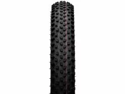 Schwalbe Racing Ray Evolution ADDIX Speed Super Race 29" Faltreifen -Günstiges 28Reifen Geschäft 345040