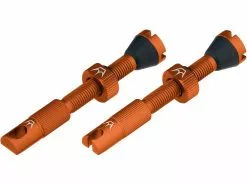 Peatys Chris King Edition MK2 Tubeless Ventil 2er-Set