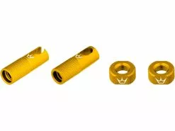 Peatys Chris King Edition MK2 Tubeless Ventil Ersatzteil-Set 48 Peatys Chris King Edition MK2 Tubeless Ventil Ersatzteil-Set -Günstiges 28Reifen Geschäft 423269