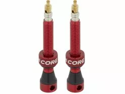CUSHCORE Tubeless Ventil 44 Mm 2er-Set -Günstiges 28Reifen Geschäft 425153