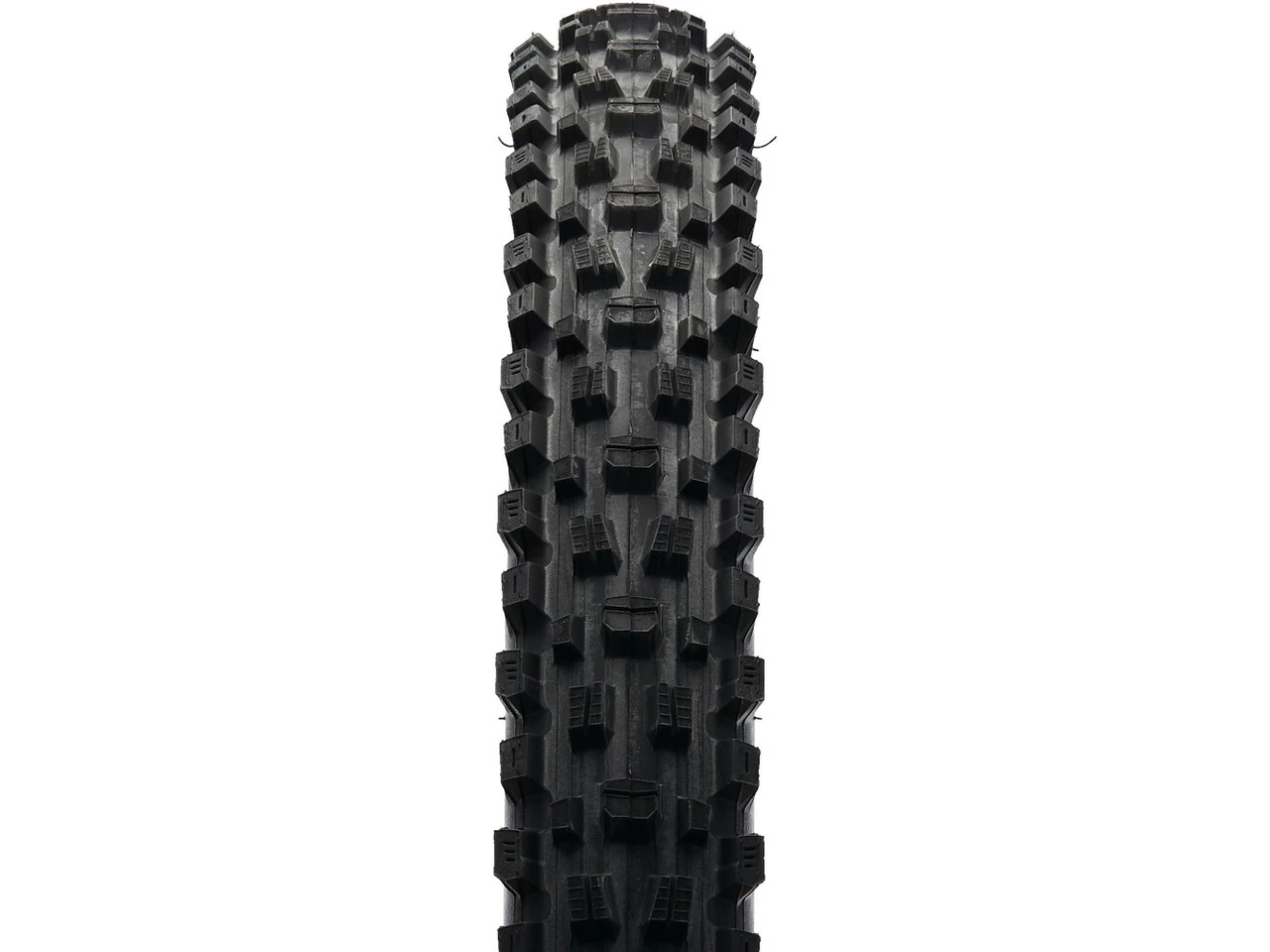 MAXXIS Assegai 3C MaxxTerra EXO+ WT TR 27,5" Faltreifen 6 MAXXIS Assegai 3C MaxxTerra EXO+ WT TR 27,5" Faltreifen – Bild 4