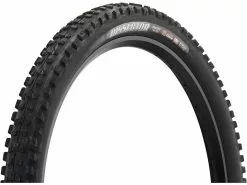 MAXXIS Dissector 3C MaxxTerra EXO+ WT TR 29" Faltreifen