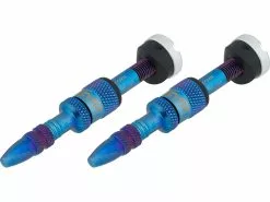 E-thirteen Quick Fill Tubeless-Ventil - 2 Stück 25 E-thirteen Quick Fill Tubeless-Ventil - 2 Stück -Günstiges 28Reifen Geschäft 454221