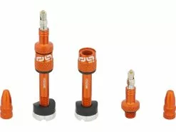 E-thirteen Quick Fill Tubeless-Ventil - 2 Stück 29 E-thirteen Quick Fill Tubeless-Ventil - 2 Stück -Günstiges 28Reifen Geschäft 454225