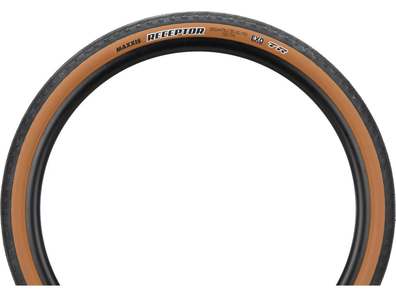 MAXXIS Receptor Dual EXO TR 27,5" Faltreifen 8 MAXXIS Receptor Dual EXO TR 27,5" Faltreifen – Bild 6