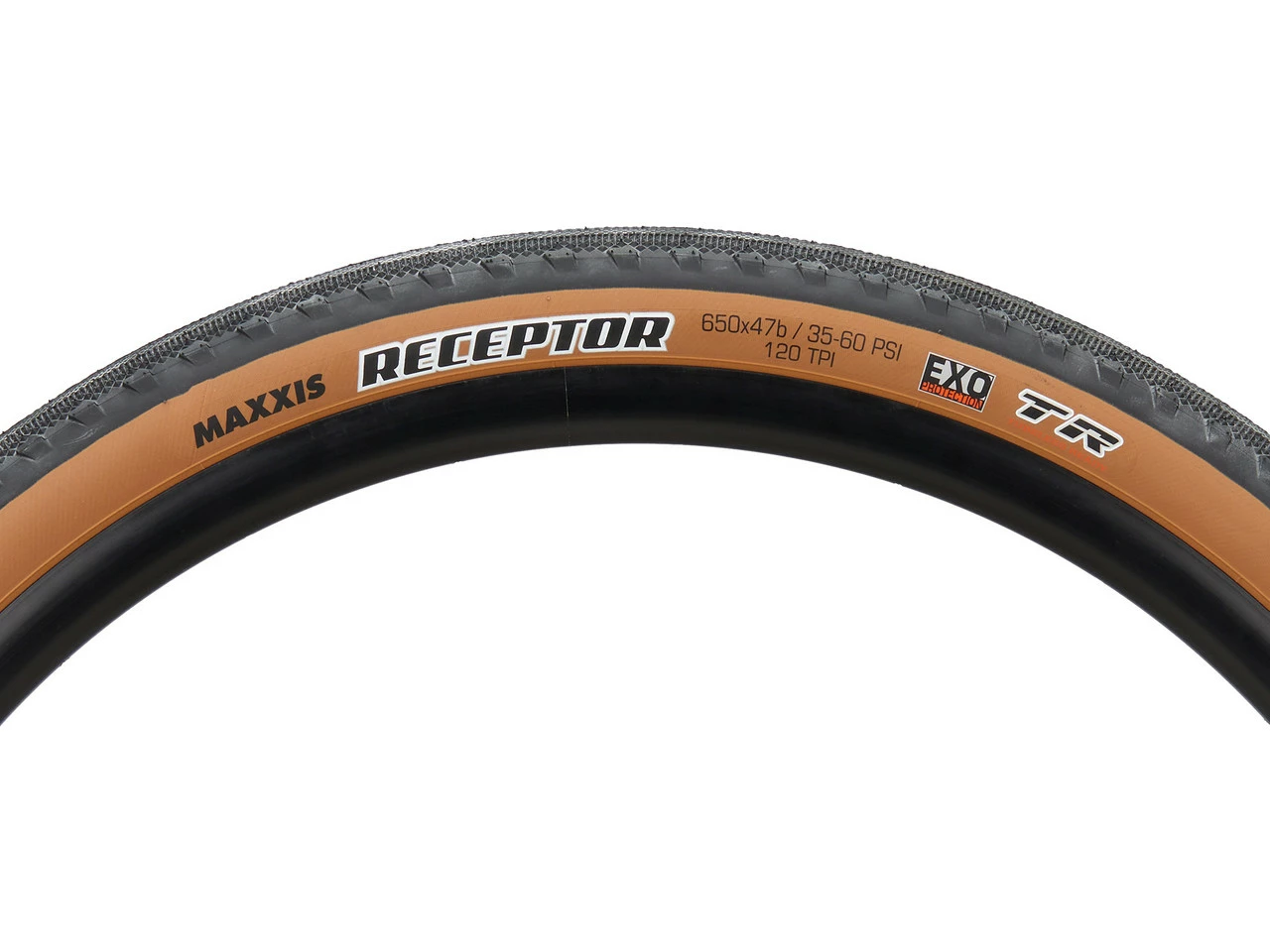 MAXXIS Receptor Dual EXO TR 27,5" Faltreifen 9 MAXXIS Receptor Dual EXO TR 27,5" Faltreifen – Bild 7